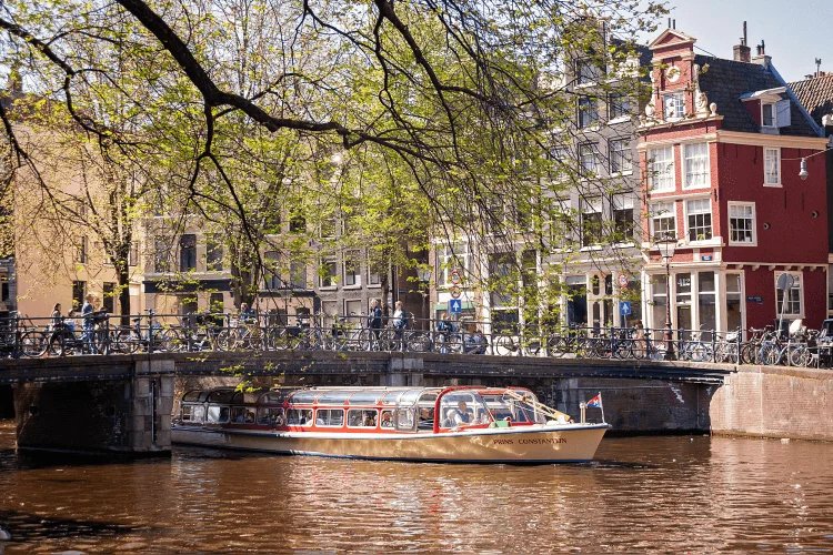 Makispin netherlands - Makispin Casino Bonus en Vrije Spins in Nederland Bekend maken